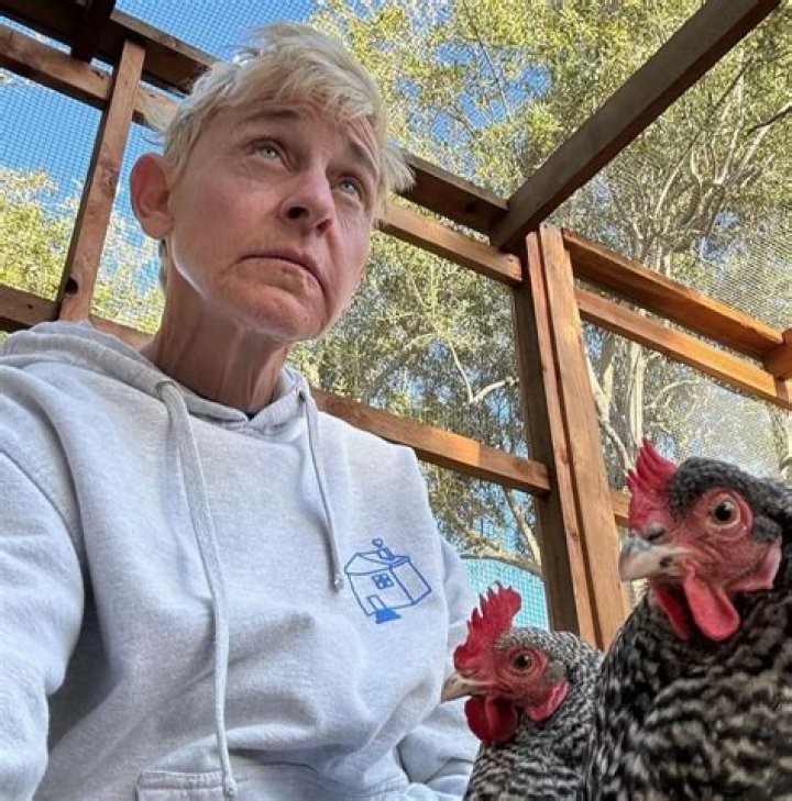 Sandy Harrell: A Comprehensive Look at Her Life and Career