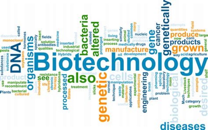 Santa Cruz Biotech: Leading Innovations in Biotechnology Research