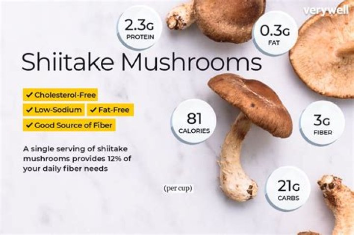 Shiitake Mushroom Benefits: Unlocking the Power of Nature's Superfood