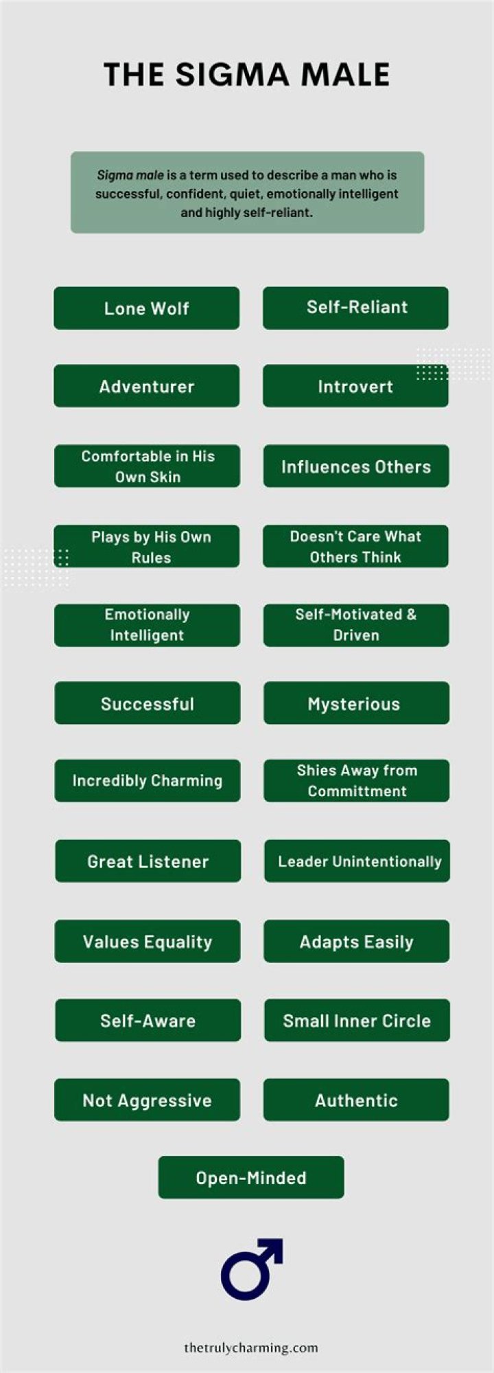 Sigma Male Definition: Understanding the Enigmatic Personality Type