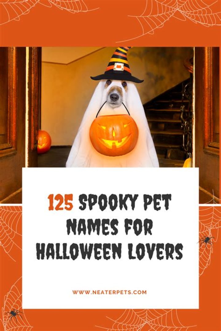 Spooky Names for Dogs: Unleash the Frightening Fun