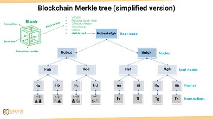 Tess Merkle: Blockchain Pioneer & [Specific Area of Expertise]