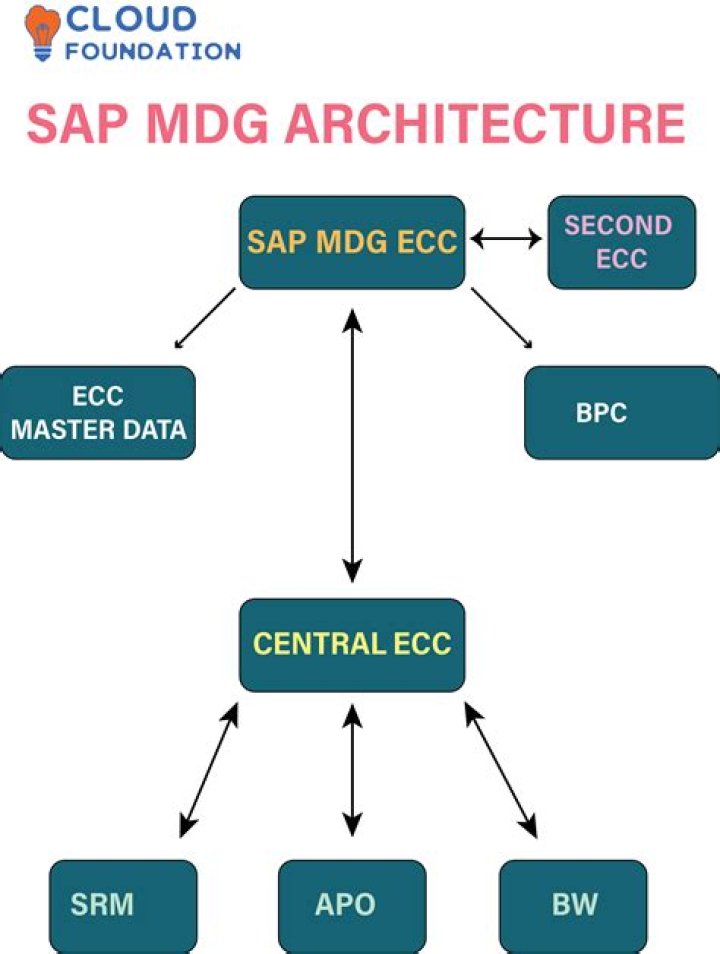 The Comprehensive Guide to Cheryl Hines: Biography, Career, and Awards