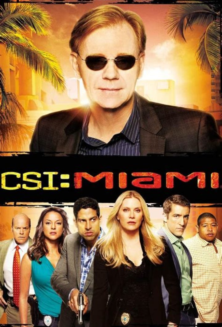 The Essential Guide to Horatio Caine from "CSI: Miami"