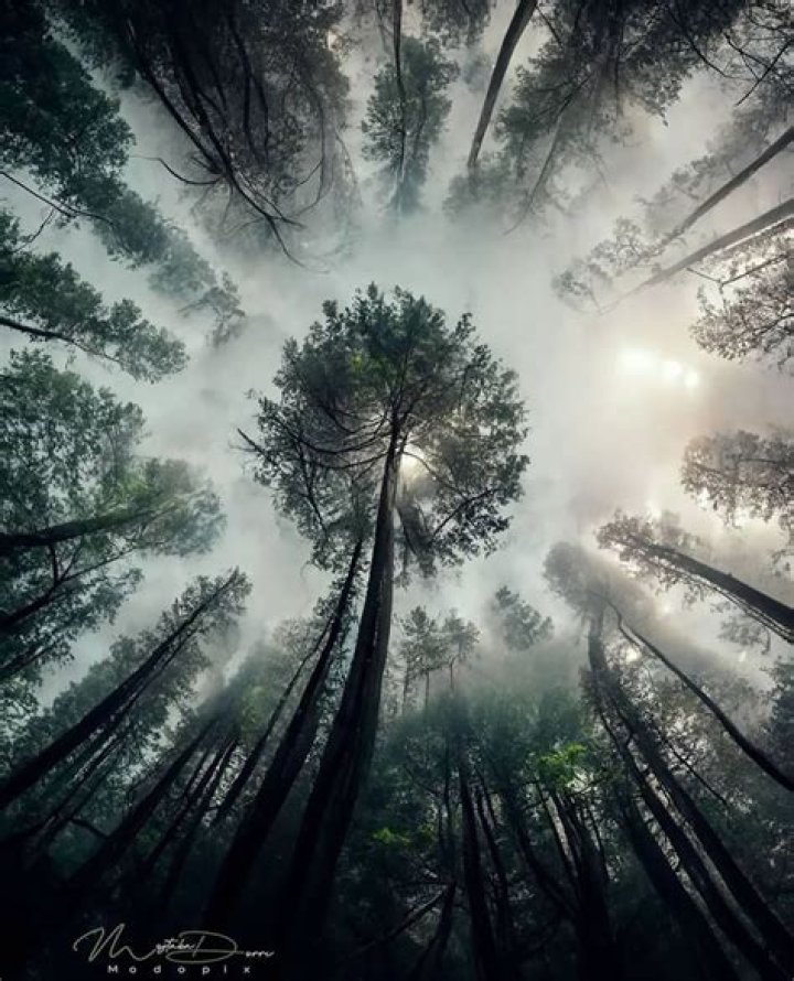 Thea Charrier Photography: Stunning Portraits and Landscapes