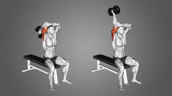 TricepKull Crusher: The Ultimate Guide to Building Strong and Sculpted Triceps