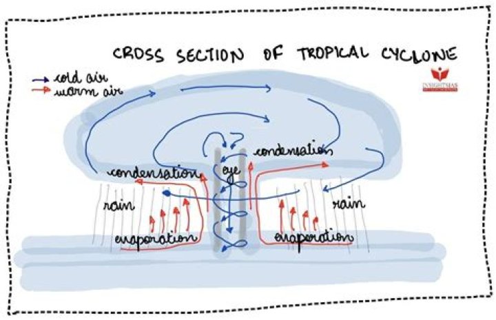 Tropical Cyclone in Canc&uacute;n: Emergency Resources You Need to Know
