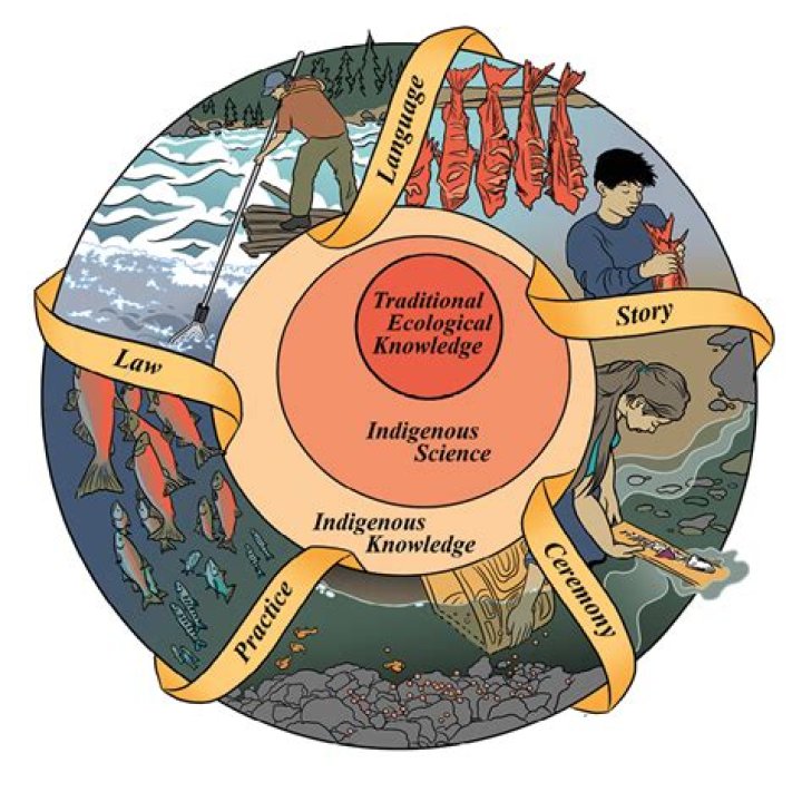 TSCPL Library: Your Ultimate Resource for Knowledge and Community Engagement
