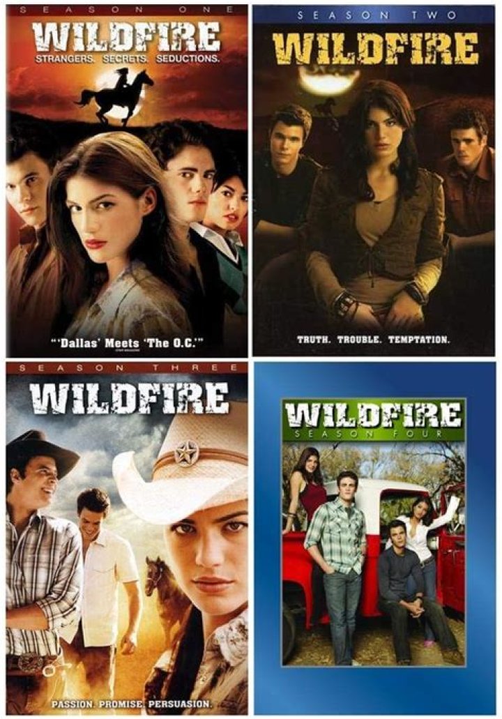 TV Shows Like Wildfire: A Deep Dive into Captivating Series