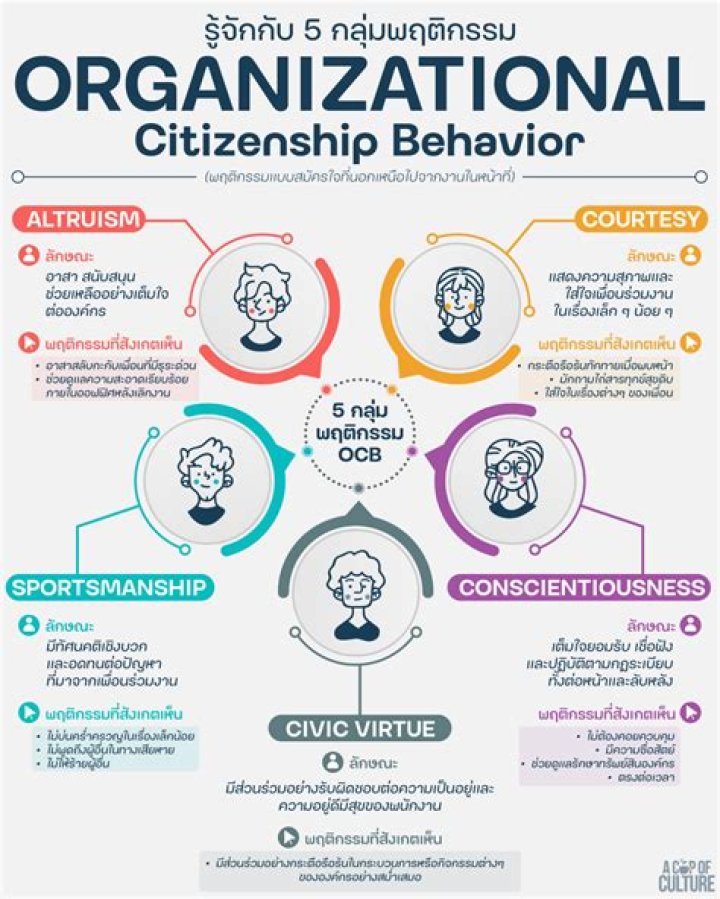 Ultimate Guide to Disuza: Benefits & Best Practices