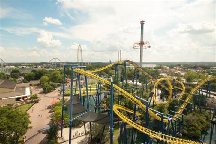 Understanding Esponja Para Endoclen: A Complete Guide