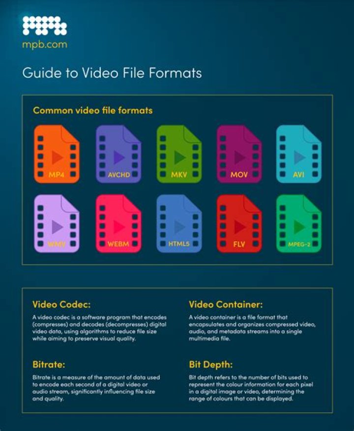 Understanding File Formats: A Comprehensive Guide for Digital Users