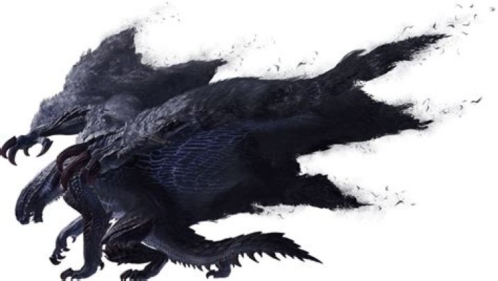 Understanding Gore Vids: A Comprehensive Guide