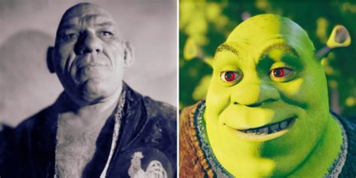 Understanding the Phenomenon of "Tillet Shrek"