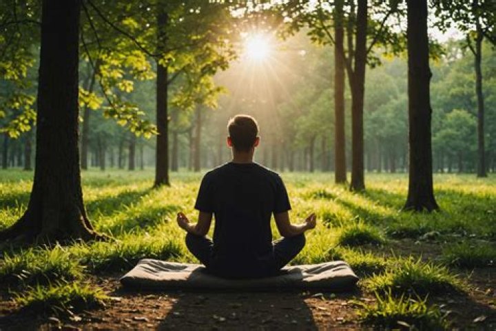 Understanding Today: A Comprehensive Guide to Living in the Present Moment