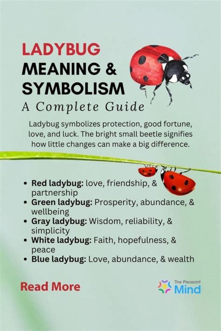 Unveiling the Ladybug Symbolism: A Guide to Its Meaning and Cultural Significance