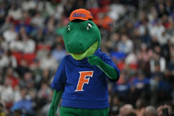 Unveiling the Legacy of UF National Titles: A Comprehensive Deep Dive