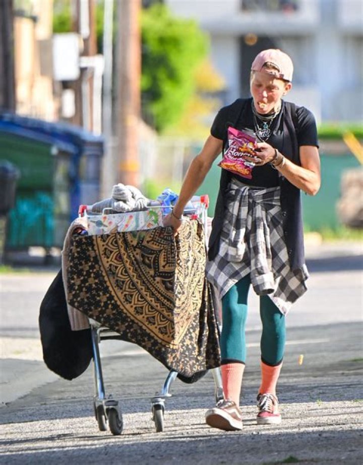 Unveiling the Life of Loni Willison: A Journey Through Fame and Struggles