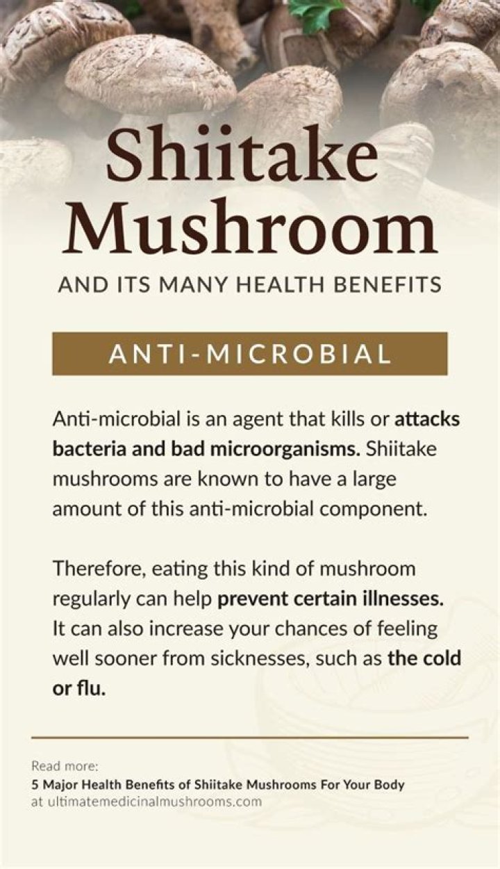 Unveiling the Remarkable Shitake Benefits for Health and Wellness