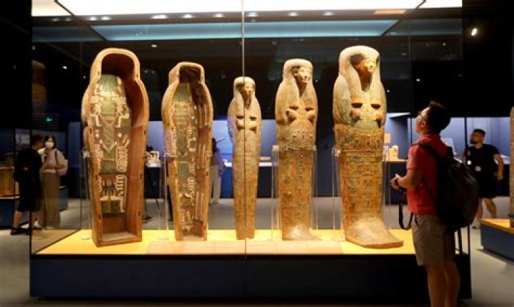 Unveiling the Wonders of Curiopod!