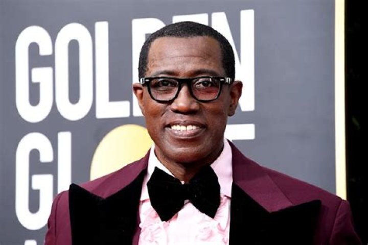 Wesley Snipes Fortune: Uncovering the Wealth of the Hollywood Star