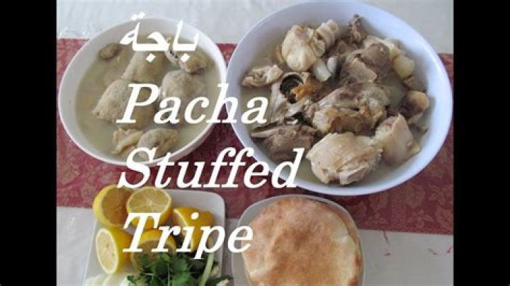 What Does Pacha Mean? Exploring the Rich Cultural Significance of Pacha