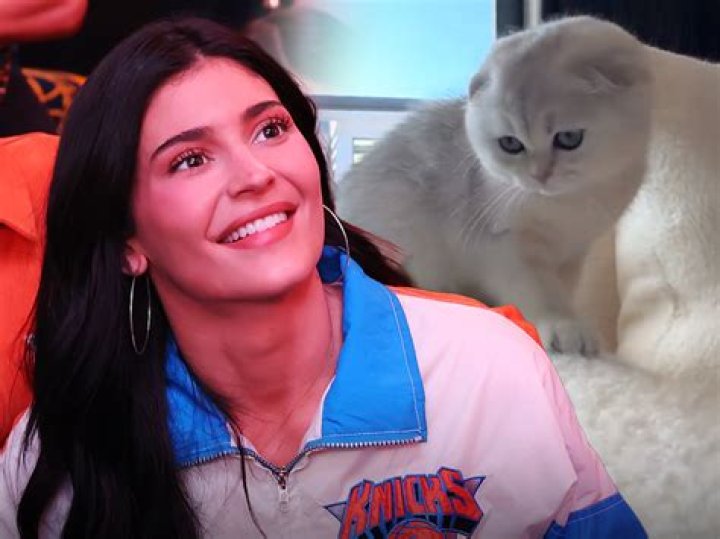 What Dog Does Kylie Jenner Have? A Deep Dive into Her Furry Companion