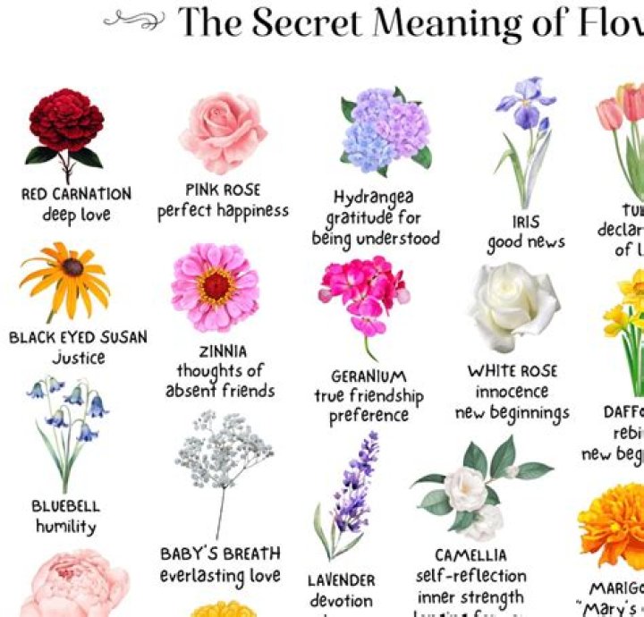 What Flower Symbolizes Hope? Discover the Meaning Behind Hopeful Blooms