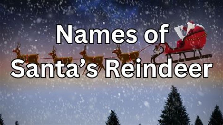 Xmas Reindeer Names: A Complete Guide to Understanding Santa's Magical Crew