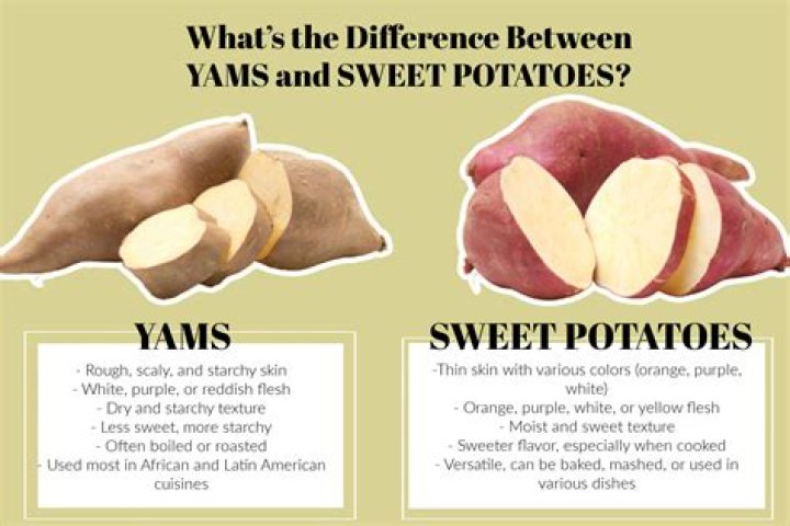 Yams Compared to Sweet Potatoes: Unveiling the Differences and Similarities